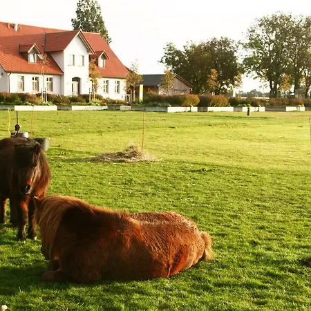 Gutshaus Landwert Hof Stahlbrode
