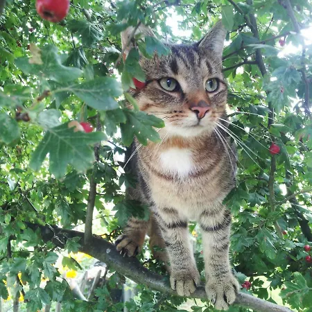 Gutshaus Landwert Hof *