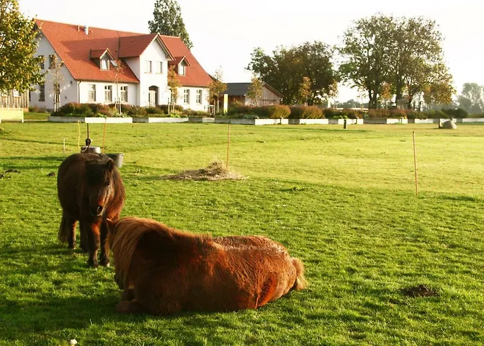 Gutshaus Landwert Hof Stahlbrode